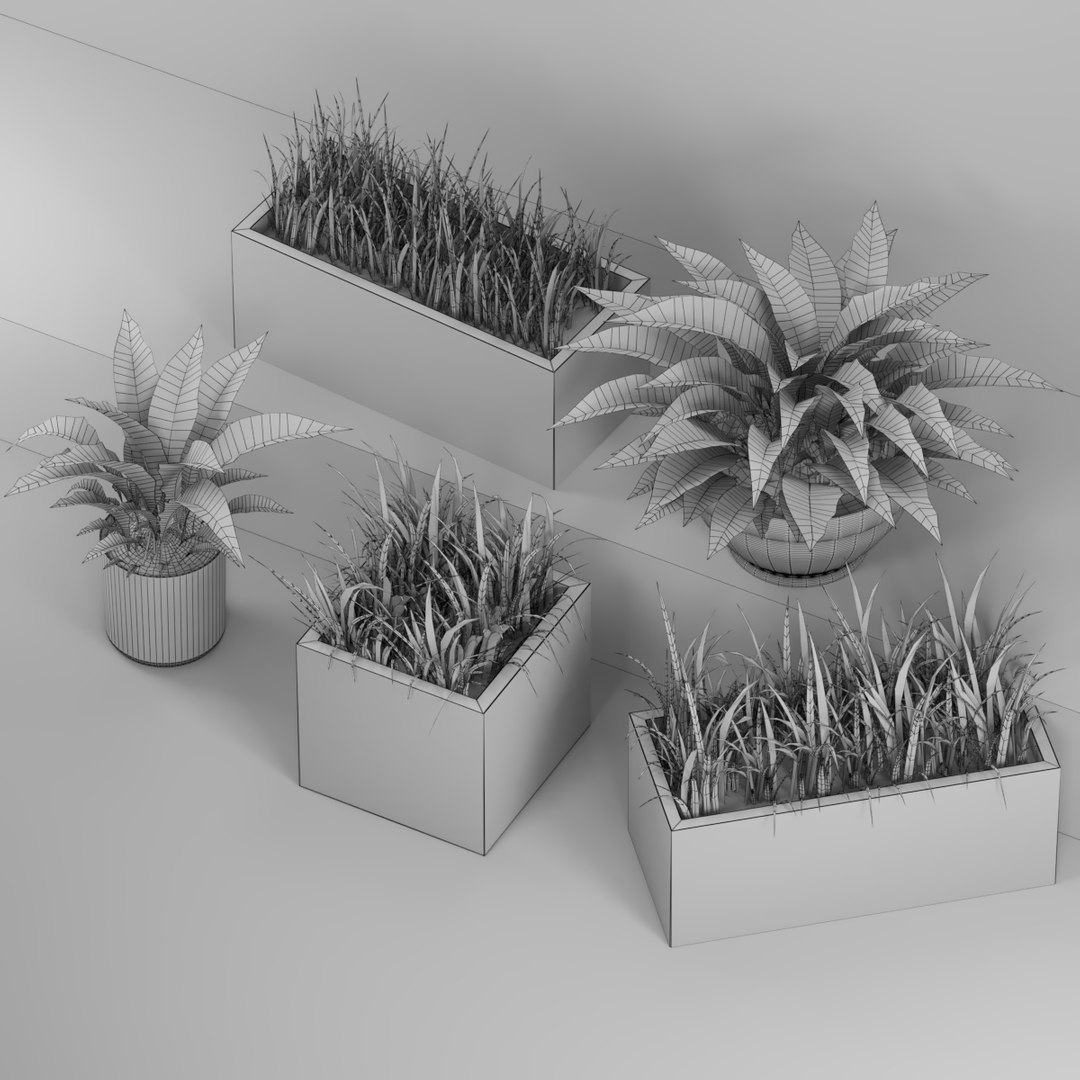 Free 3D Indoor Plants Model - TurboSquid 1447295