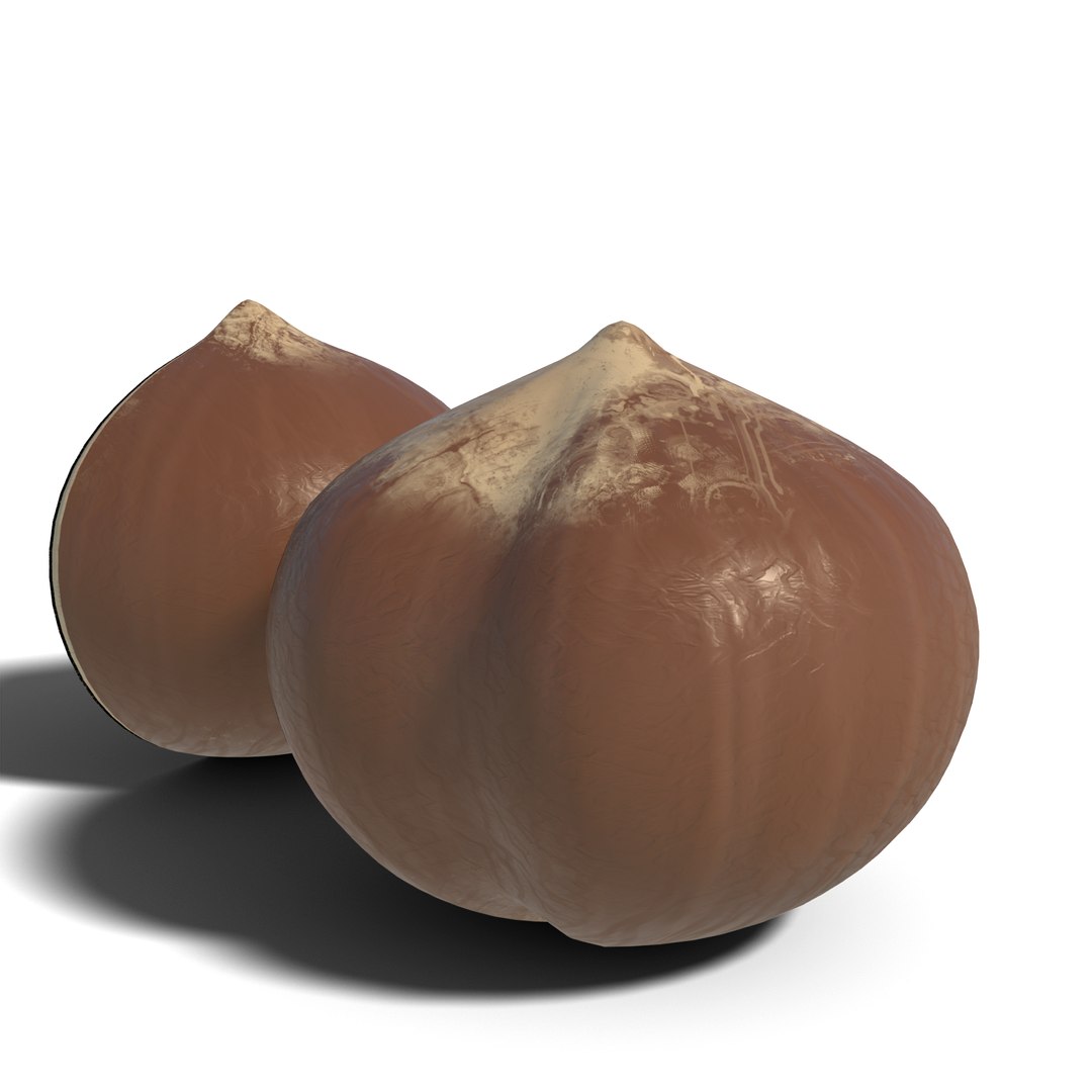 3D Hazelnut https://p.turbosquid.com/ts-thumb/GN/cXL5fe/4K/hazelnut_02/png/1686918066/1920x1080/fit_q87/1e8220da9d49f99ca4cdbe0b49839ab30d420e26/hazelnut_02.jpg