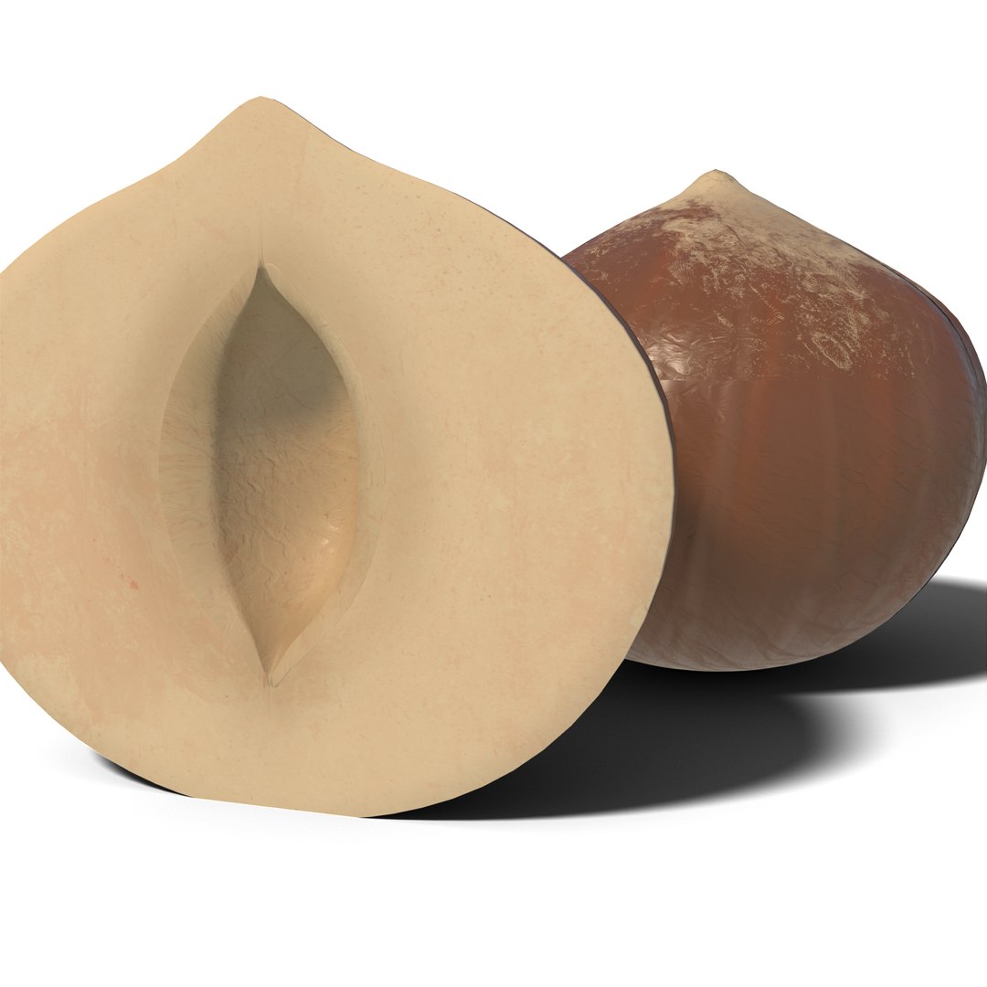 3D Hazelnut https://p.turbosquid.com/ts-thumb/GN/cXL5fe/B9/hazelnut_03/png/1686918070/1920x1080/fit_q87/2b2556673fe0f2cd6be9bb89bc59985958b61501/hazelnut_03.jpg