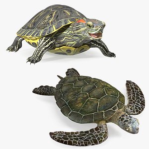 Turtles Rigged Collection