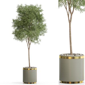 Plants collection 648 3D model