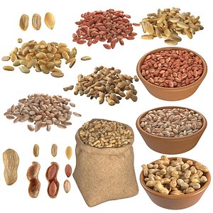 Peanut Mega Collection 3D model