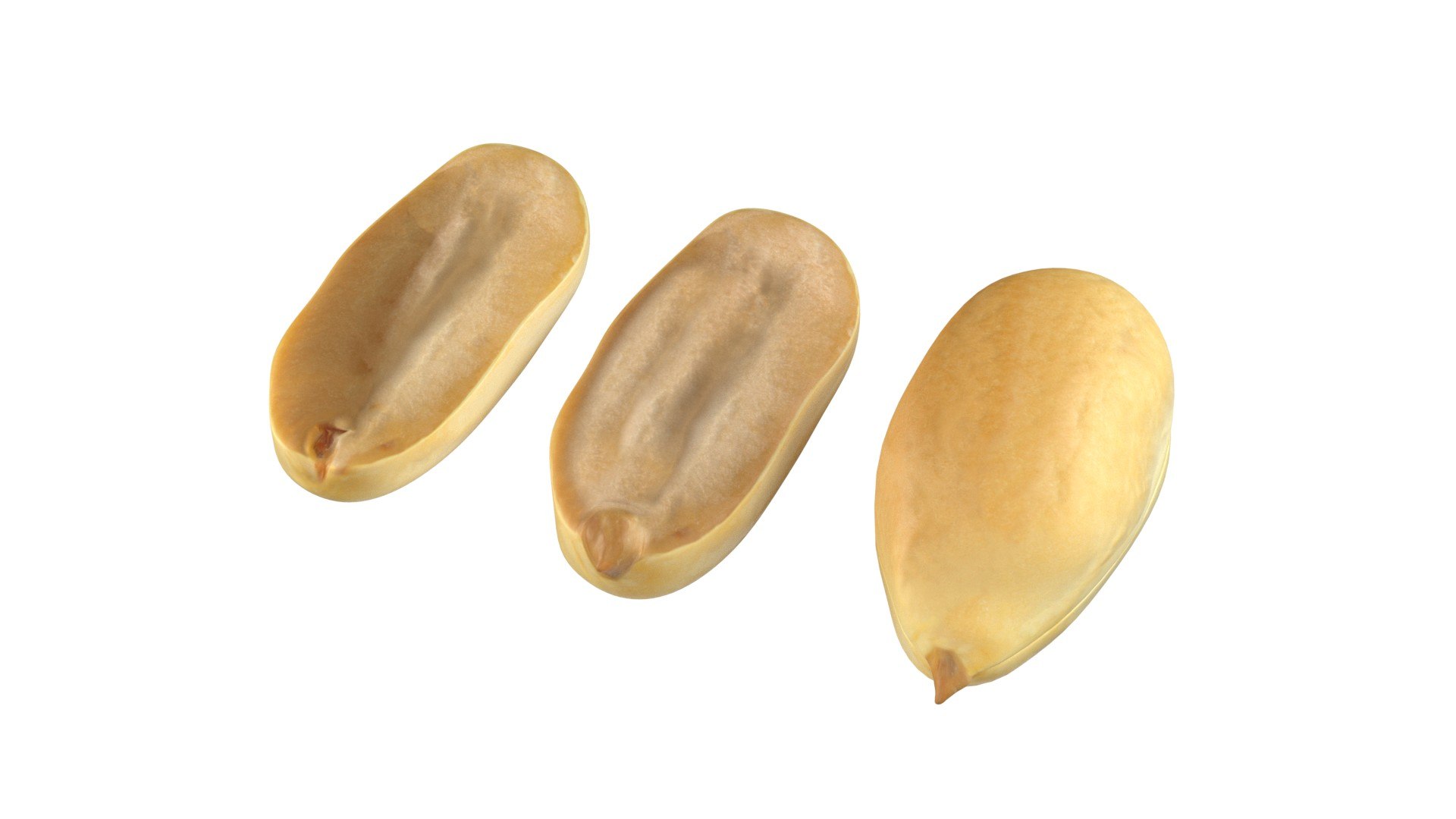 Peanut Mega Collection 3D model https://p.turbosquid.com/ts-thumb/GN/qUPamZ/ef/1/jpg/1745471052/1920x1080/fit_q87/4d408b71b528cbda2f4bfcb6b5e1d390ea6f4232/1.jpg
