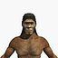 australopithecus man male 3D model