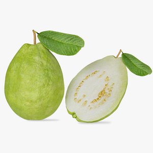 Fruit Bowl Guava 3D model