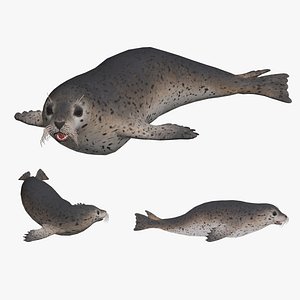 Animated seal