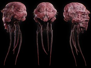 Alien Insect Creature model