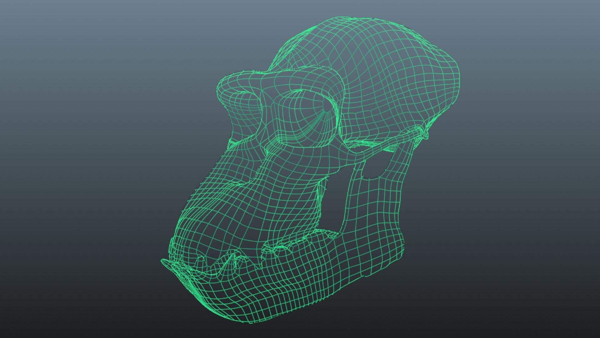 Realistic chimpanzee adult skull 3d turbosquid 1972396