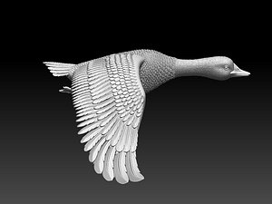 printer 3D