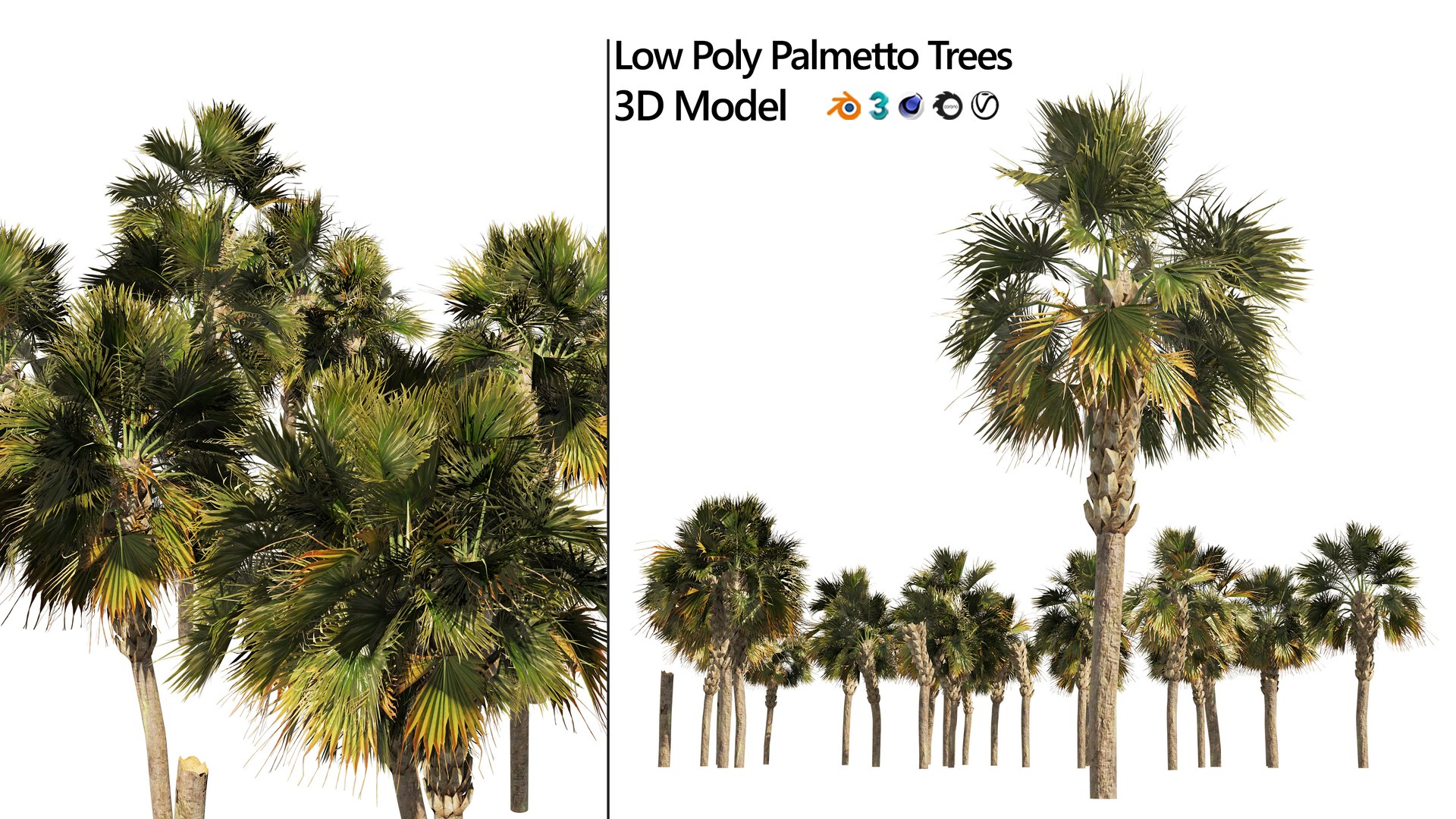 Low poly palmetto trees 3D model https://p.turbosquid.com/ts-thumb/GO/buVz6d/J4/artcover/jpg/1655943613/1920x1080/fit_q87/142a41230116743810856df57420d349f9622acf/artcover.jpg