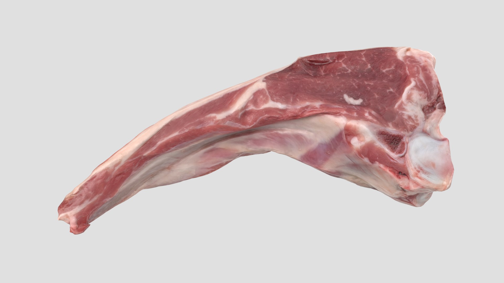raw meat pork beef 3D model https://p.turbosquid.com/ts-thumb/GO/hUu8nn/H4kiz6ir/lambcutletraw_r1/png/1594545888/1920x1080/fit_q87/1c829435be7b997ba2d7330cdae528f56b59a79f/lambcutletraw_r1.jpg