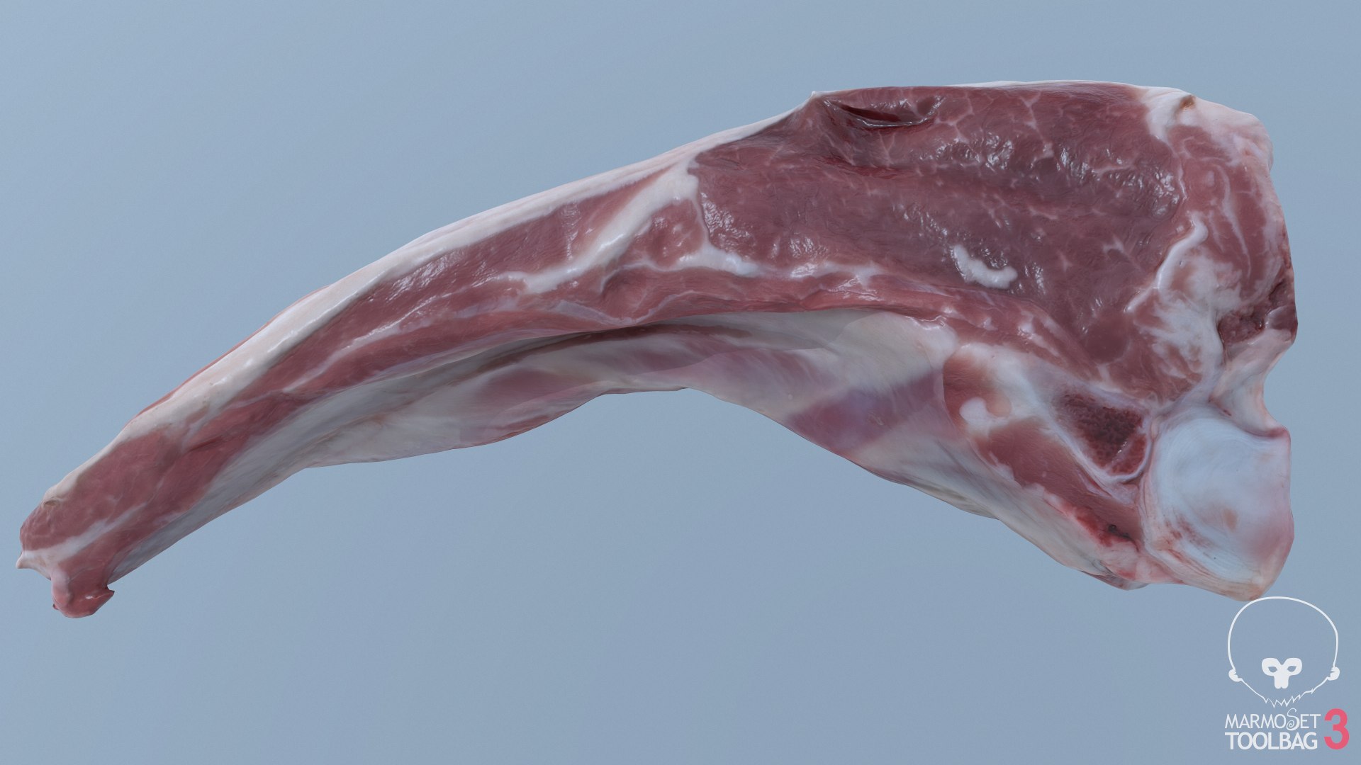 Raw meat pork beef 3D model - TurboSquid 1590046