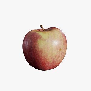Anydrafts Apple 07 3D