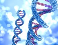 DNA strand molecule concept, human anatomy