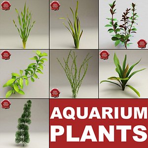 aquarium plants 3d model