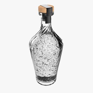 bottle glass model