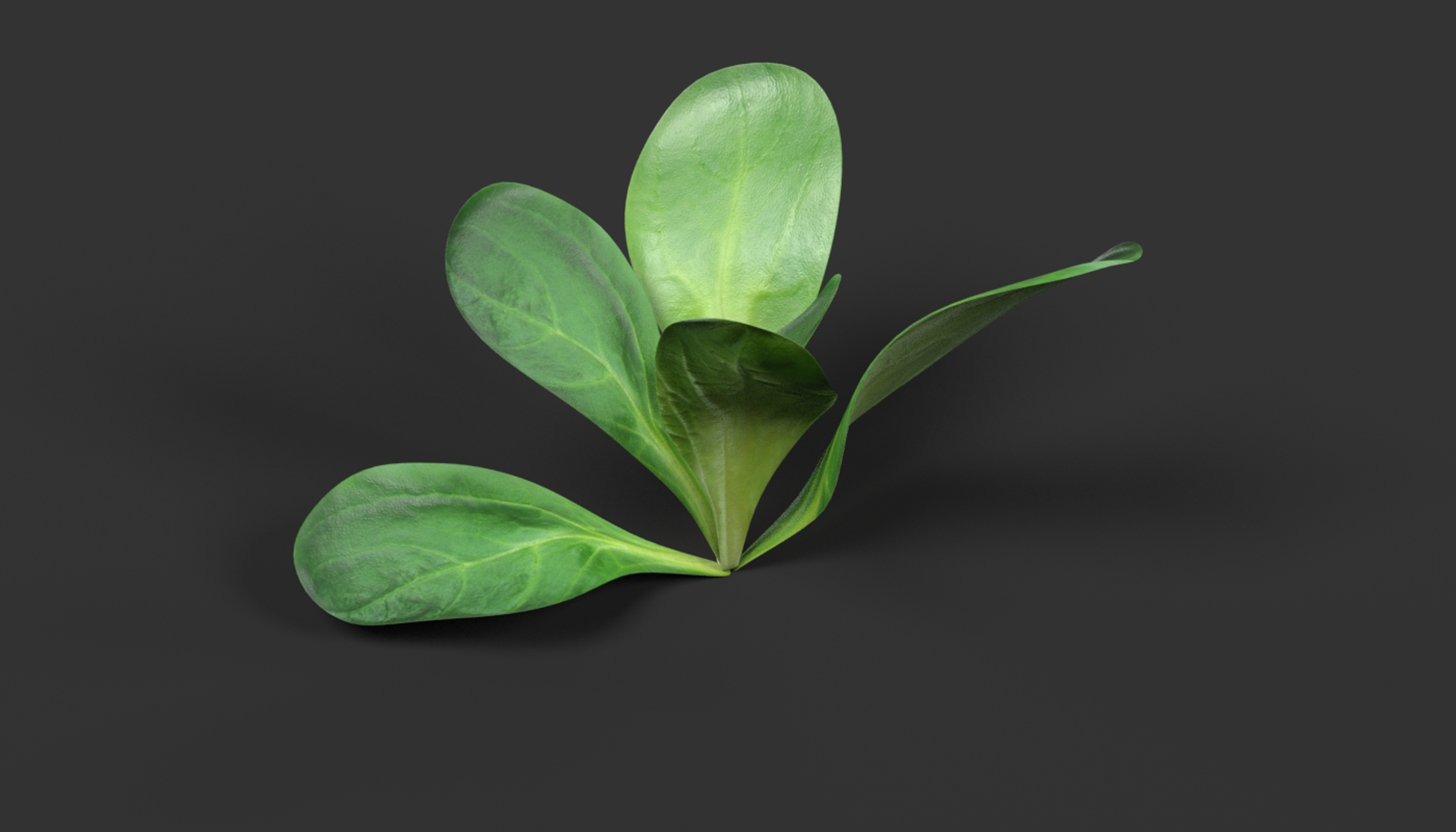3ds vegetables board https://p.turbosquid.com/ts-thumb/GP/543xK9/9idTgxMG/0001/png/1490721833/1920x1080/turn_fit_q99/3bde10c06596fad8c9d1a1369790394f2f455b34/0001-1.jpg