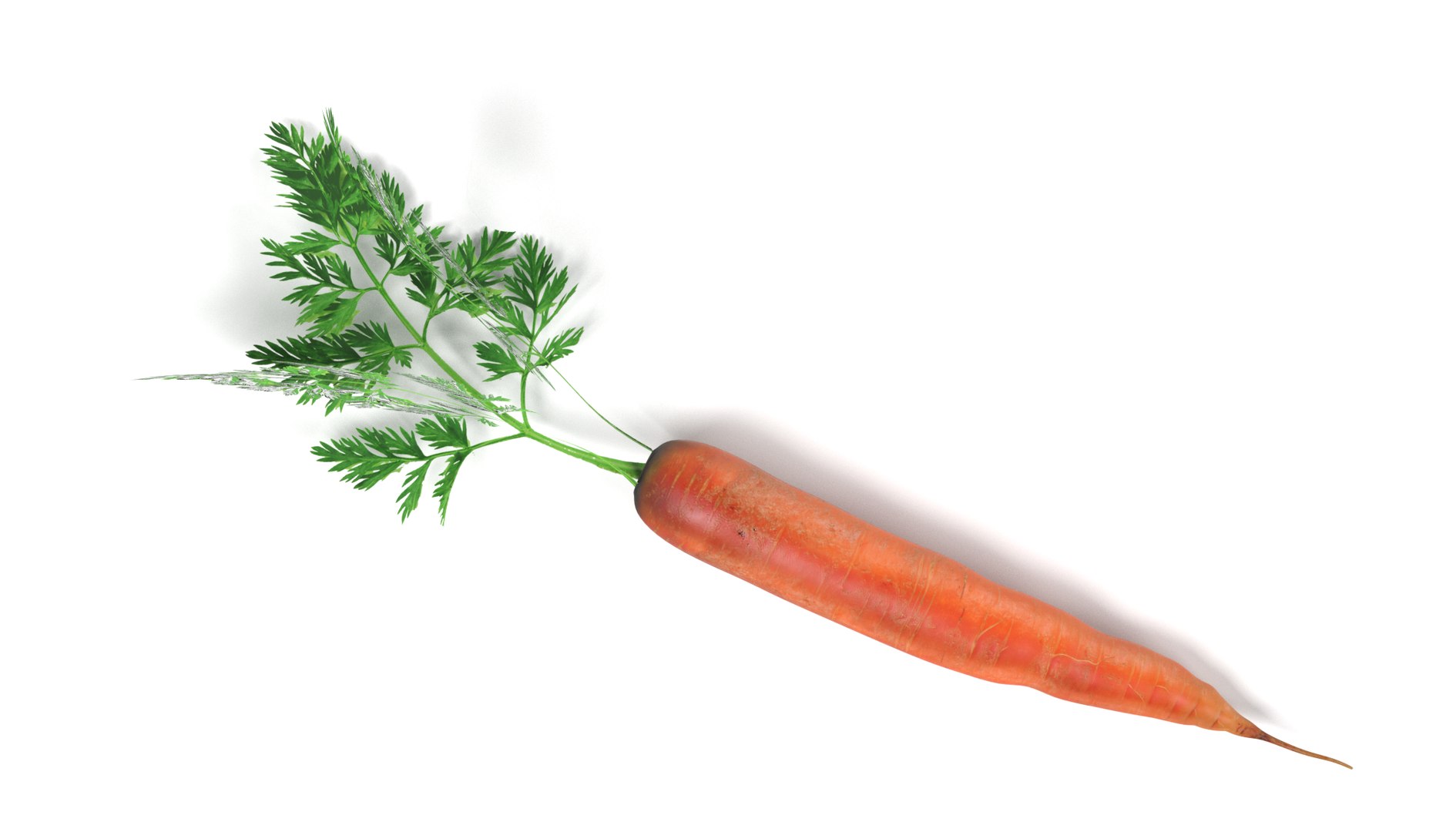 3ds vegetables board https://p.turbosquid.com/ts-thumb/GP/543xK9/CUwHxMGv/carrotb/png/1490726574/1920x1080/fit_q87/a91a01e74ab908e155252af1062e85de2c7fa186/carrotb.jpg