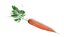Vegetales a bordo