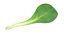 Vegetales a bordo