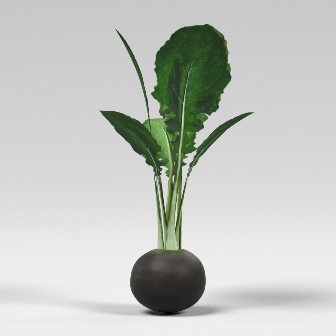 3ds vegetables board https://p.turbosquid.com/ts-thumb/GP/543xK9/S9BB5iGt/0001/png/1490712263/1920x1080/turn_fit_q99/3c612a254d55fcb48dd7931ba2c2739a6af2bb0b/0001-1.jpg