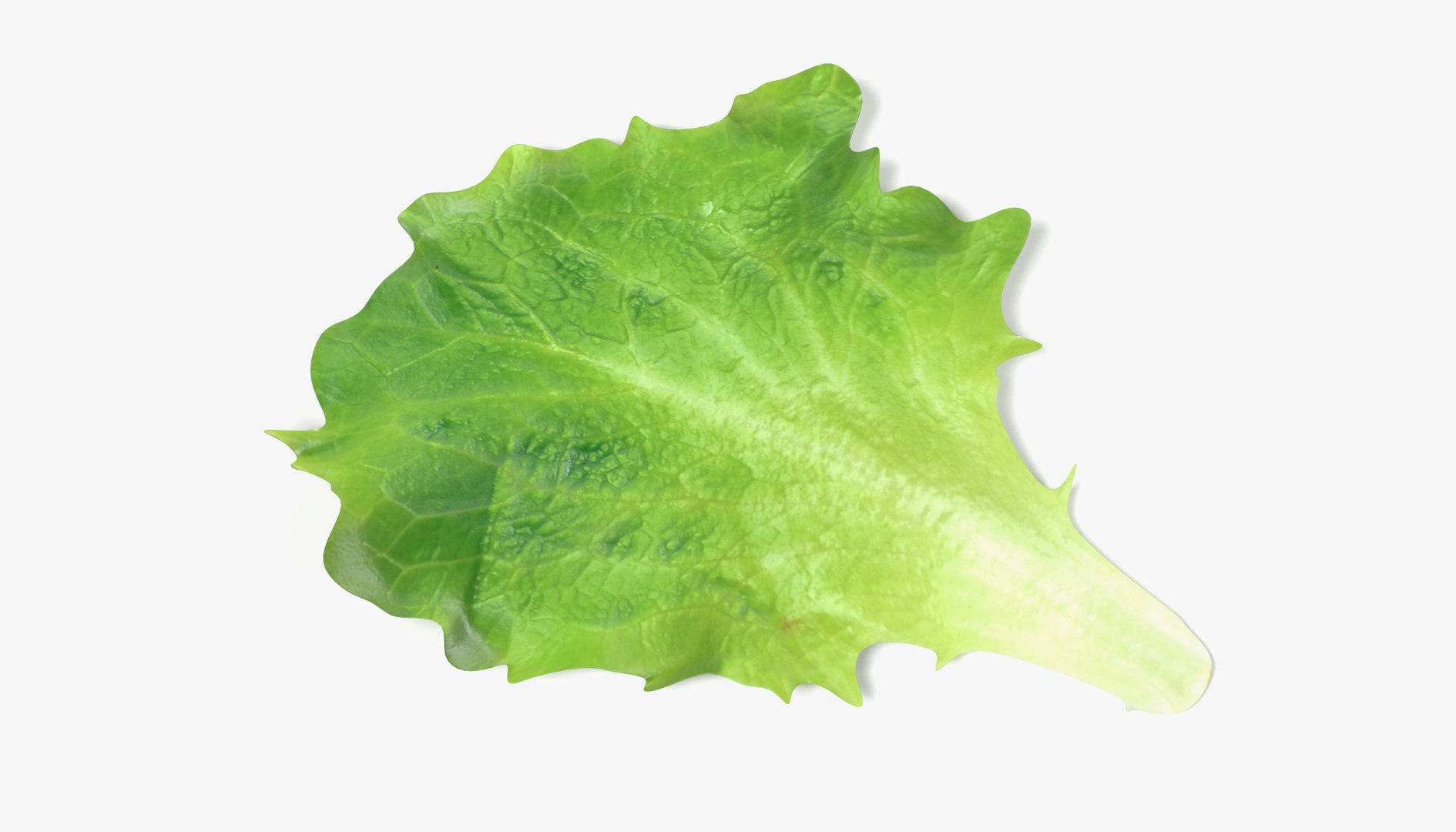 3ds vegetables board https://p.turbosquid.com/ts-thumb/GP/543xK9/aw2zgUQ2/lettuce1/png/1490726574/1920x1080/fit_q87/cae401831b5da4ff7ce42cbe9ec82b420ceed160/lettuce1.jpg