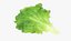 Vegetales a bordo