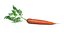 Vegetales a bordo