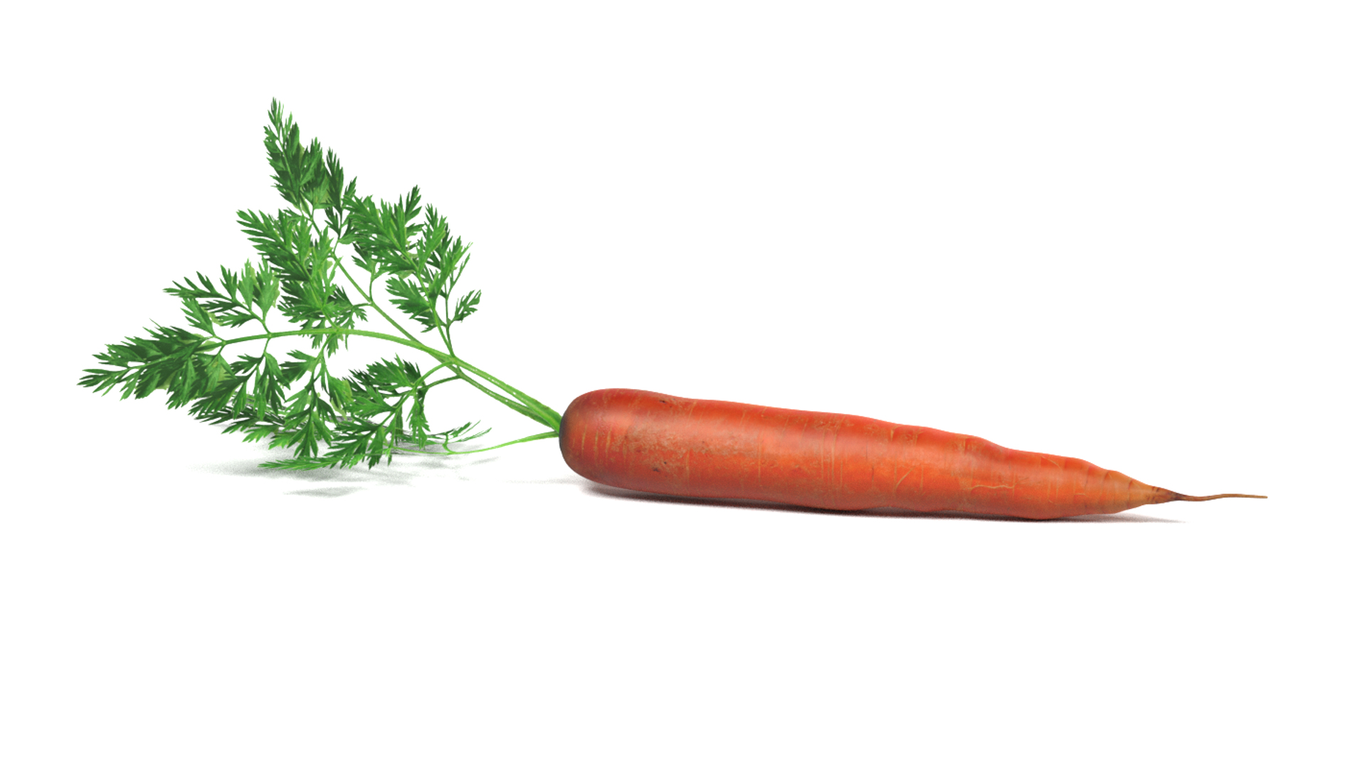 3ds vegetables board https://p.turbosquid.com/ts-thumb/GP/543xK9/tZ34xa5Y/0001/png/1490712779/1920x1080/turn_fit_q99/47b9dafde9cf4a51aa27aba586d347eb3e9e32ad/0001-1.jpg