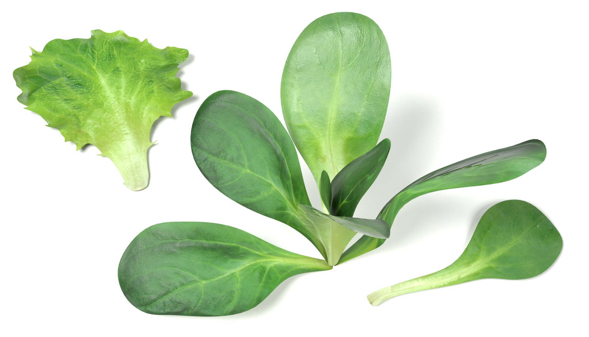 3ds vegetables board https://p.turbosquid.com/ts-thumb/GP/543xK9/wZkAIg4V/alettucesa/png/1490726574/1920x1080/fit_q87/663a857dc3bfc15333220b8b854f23929025baa9/alettucesa.jpg
