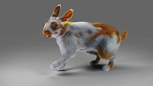 Fur Rabbit Gray V03 Rigged 3D