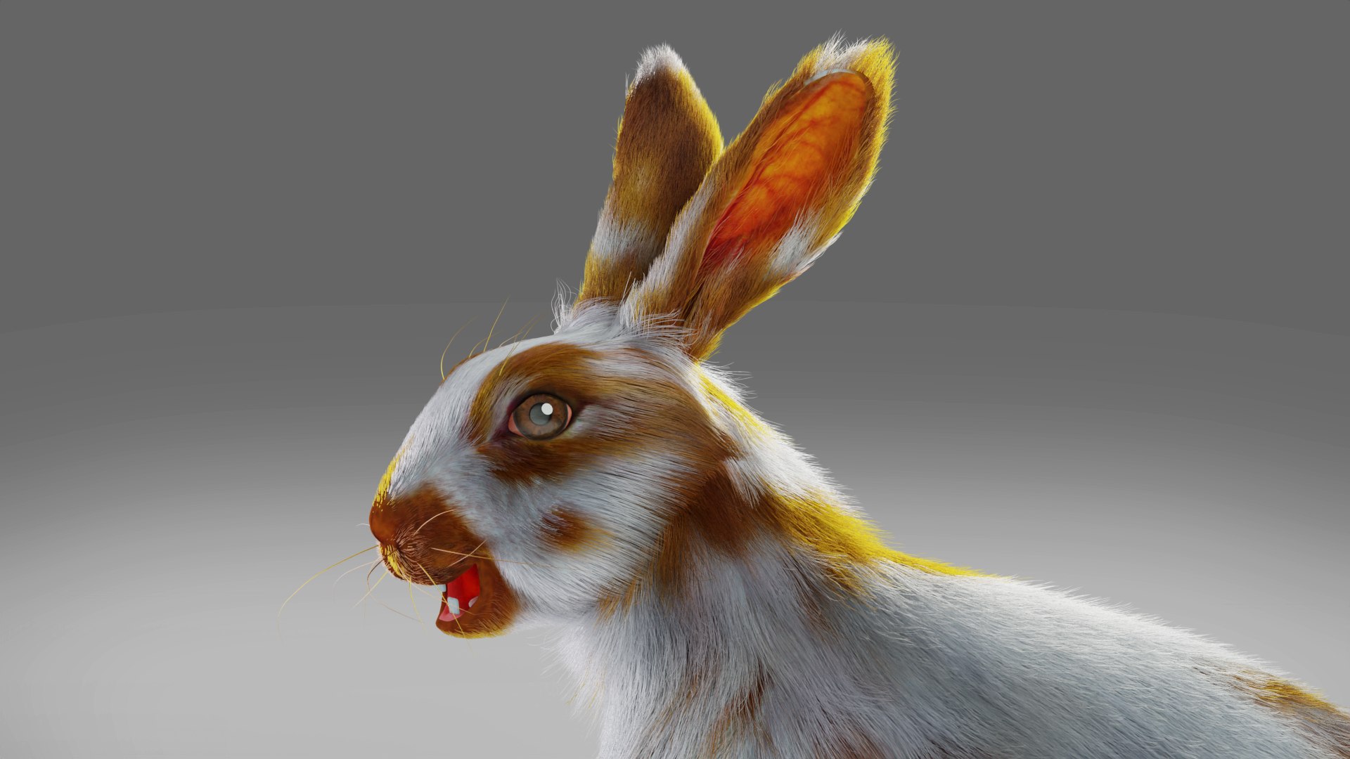 Fur Rabbit Gray V03 Rigged 3D - TurboSquid 1928084
