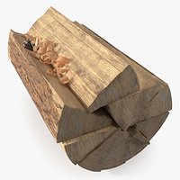 Survival Match Igniting Wood Curl and Timber