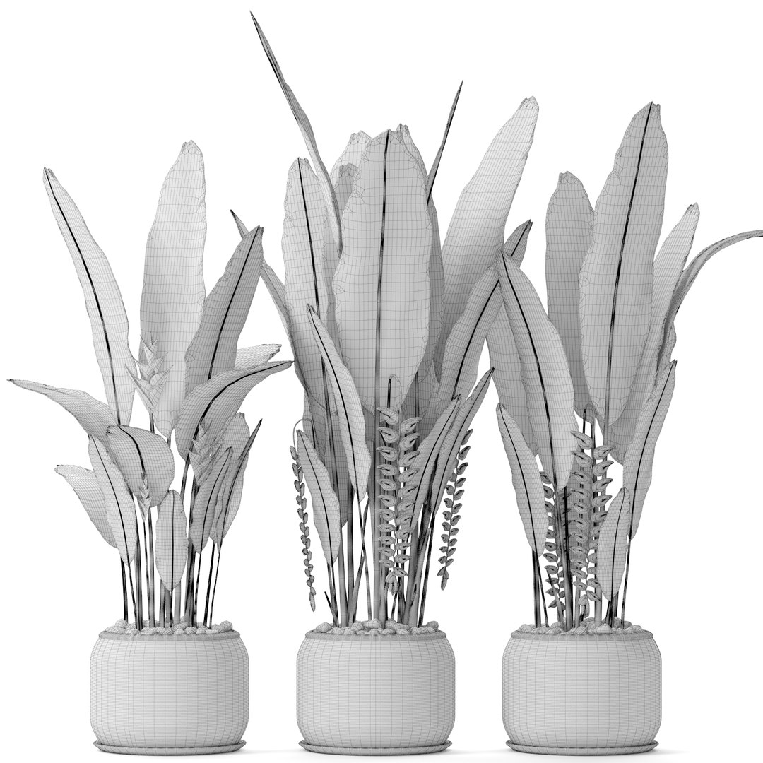 3D heliconia psittacorum rostrata model https://p.turbosquid.com/ts-thumb/GP/KdCj3c/PuYjZgB3/palmsbunanay09/jpg/1492619673/1920x1080/fit_q87/9e304f1089882afe7f54341b67fe0a34e96ecbce/palmsbunanay09.jpg