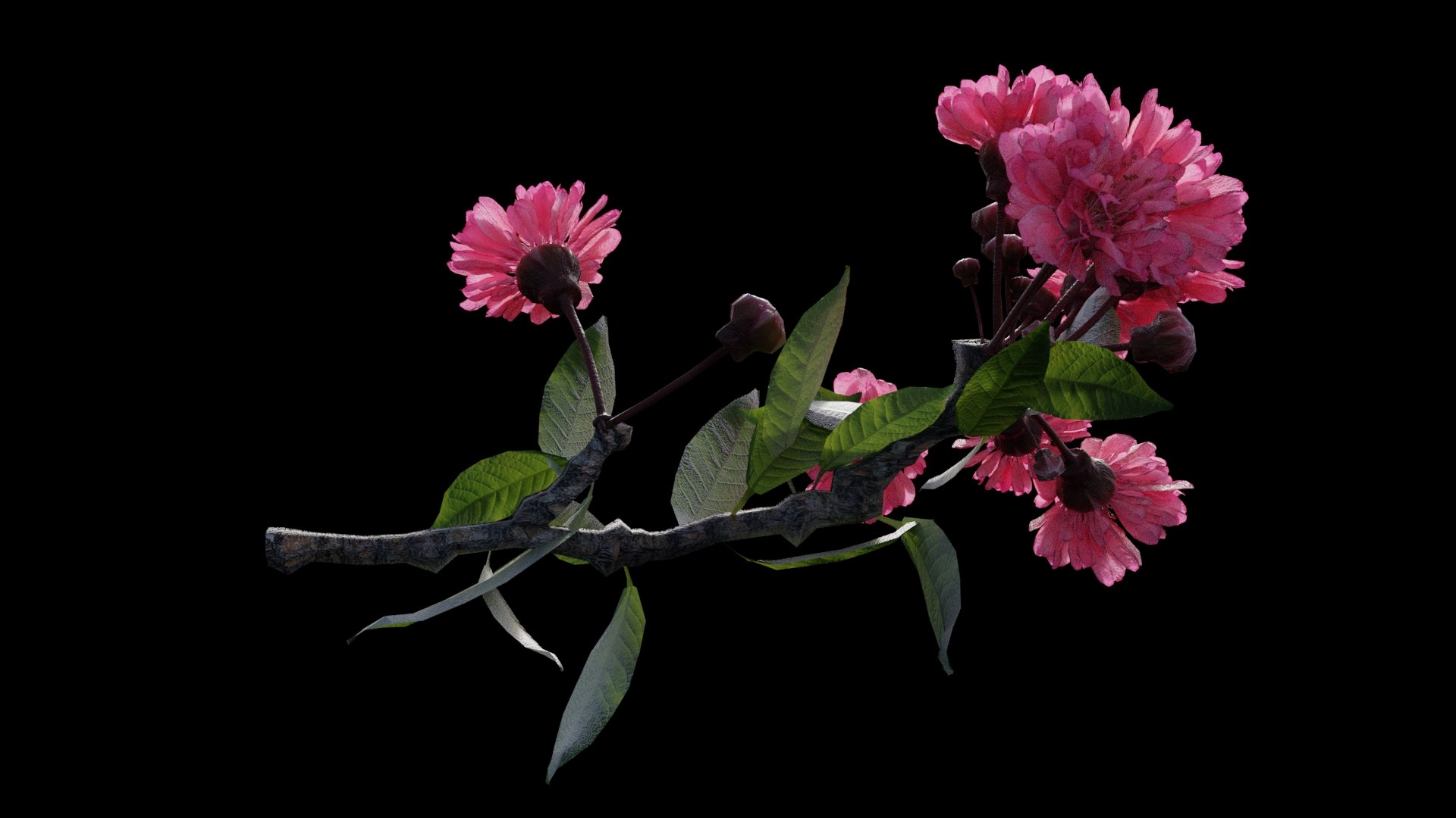 3D tree branch japanese cherry blossom model https://p.turbosquid.com/ts-thumb/GP/PAILq9/9cvL4cJM/jcb_render2/jpg/1496964736/1920x1080/fit_q87/e012ab0e6696c96bd5656ef66315c150e65e1d3a/jcb_render2.jpg