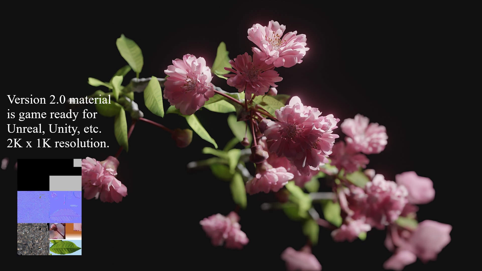 3D tree branch japanese cherry blossom model https://p.turbosquid.com/ts-thumb/GP/PAILq9/Sg/v2product/jpg/1709857302/1920x1080/fit_q87/7f4fd570b0dada2b7592727fceac354014e015e1/v2product.jpg