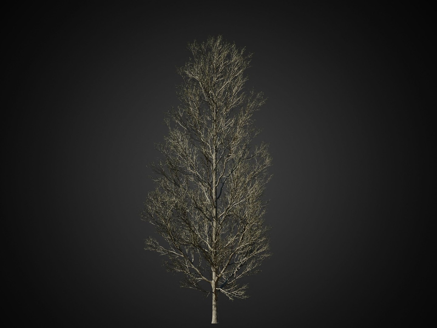 HeliosVegetation Vol1 Autumn - Leafless Tree Pack 3D Model - TurboSquid ...