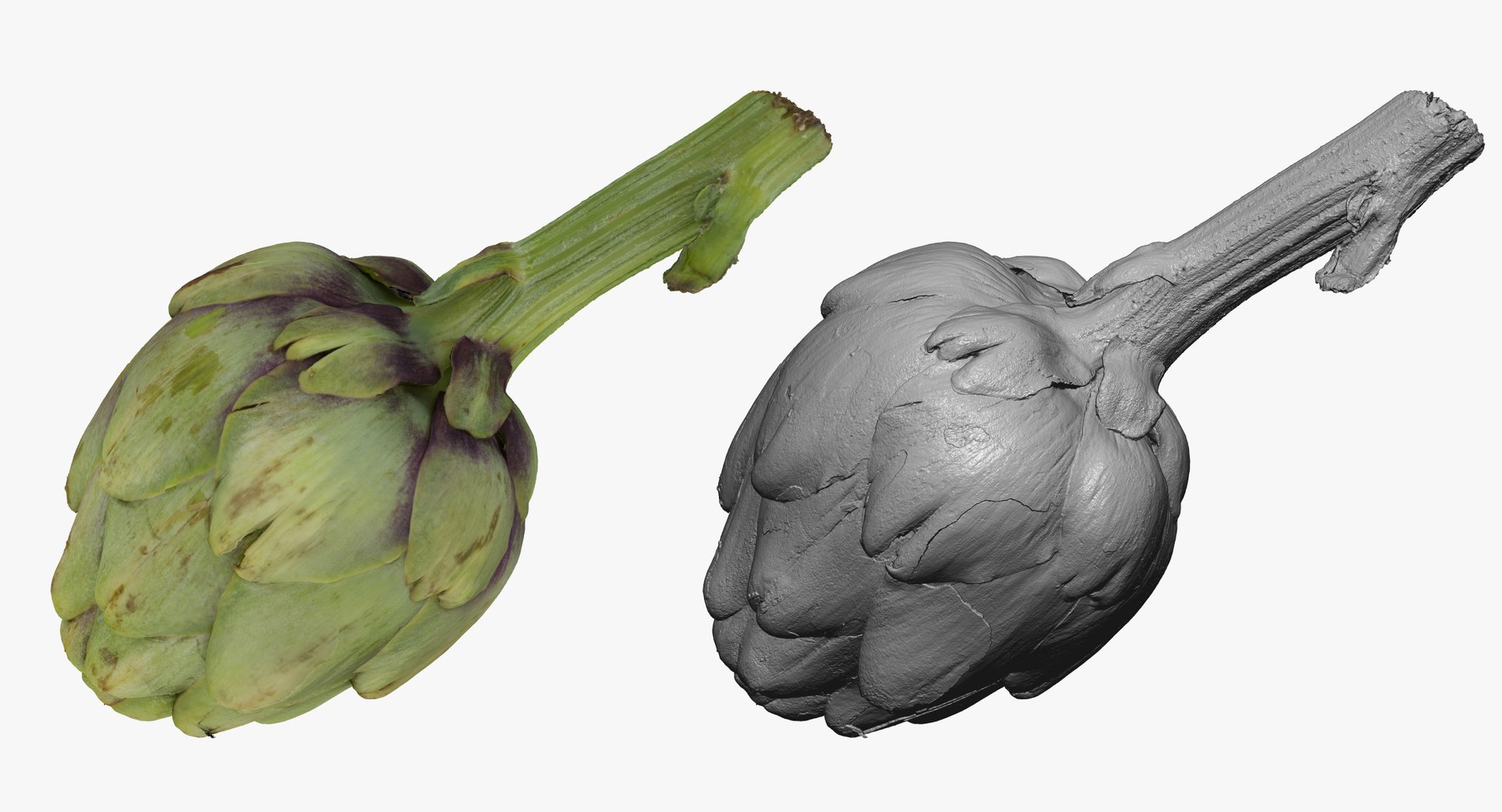 3D artichoke 01 raw scan https://p.turbosquid.com/ts-thumb/GP/TAAvpY/IKpGjYOa/artichoke_01_thumbnail_03/jpg/1585322477/1920x1080/fit_q87/fb9c4d71a0aec30a02b29b1f19d162b8982272b5/artichoke_01_thumbnail_03.jpg
