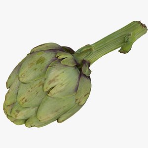 Artichoke 01 RAW SCAN