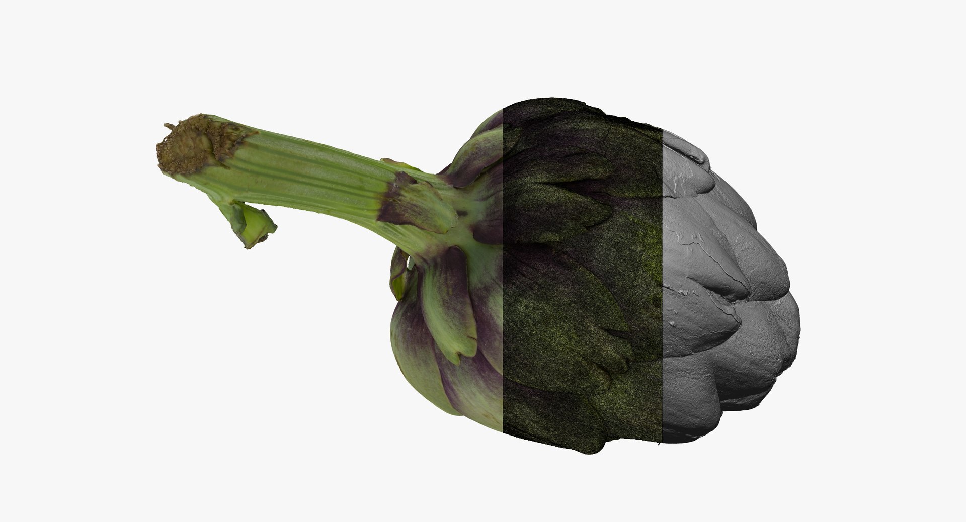 3D artichoke 01 raw scan https://p.turbosquid.com/ts-thumb/GP/TAAvpY/R6BdhQBt/artichoke_01_thumbnail_06/jpg/1585322478/1920x1080/fit_q87/cf578c6a0ca50107d887f1dc17f28f7d2f81c6ef/artichoke_01_thumbnail_06.jpg
