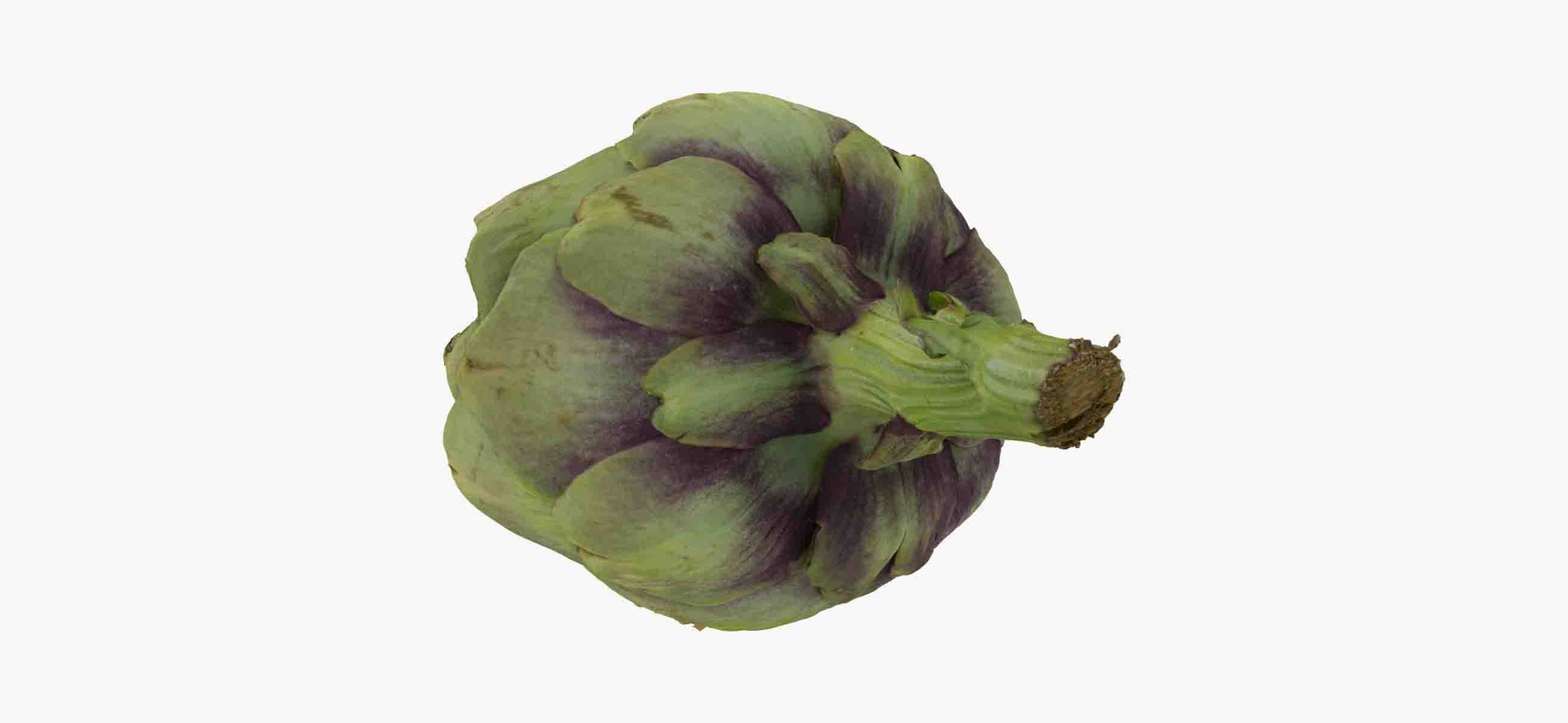 3D artichoke 01 raw scan https://p.turbosquid.com/ts-thumb/GP/TAAvpY/mjz0l6xv/artichoke_01_thumbnail_07/jpg/1598540067/1920x1080/fit_q87/5c6d77e073bb285e8e9f7303fa8e84f19892559c/artichoke_01_thumbnail_07.jpg