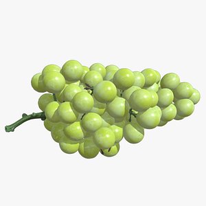 3D Green Grape Low Poly