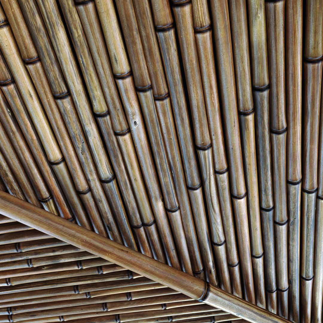 Ceiling bamboo branch low n5 3D model https://p.turbosquid.com/ts-thumb/GP/ewuIzi/M4/r40000/jpg/1639707269/1920x1080/fit_q87/d9c088fc0644aa29cf8eb1e9d94b75efa9934ef3/r40000.jpg