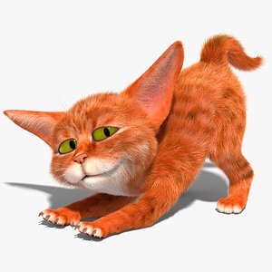 cat character rig 3D model
