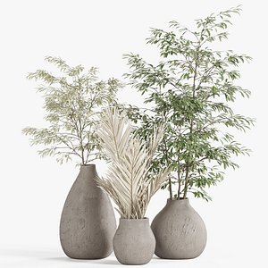3D model Plants collection 948