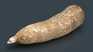 3D Tapioca Models | TurboSquid