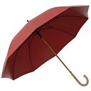 Umbrella 01 e