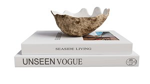 Oceanic sea bowl urchin books decor set model