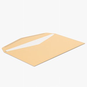 Opened Envelope