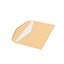 Opened Envelope